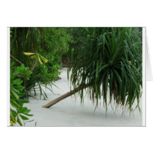 playa tropical en Asia Tarjetas