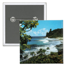 Playa tropical pins
