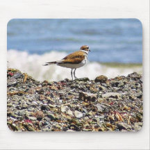 Playas de los océanos de los pájaros tapete de raton