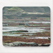 Playas Tidepools de las garzas de los pájaros Alfombrilla De Raton