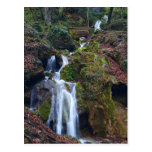 playful.course.JPG Postales