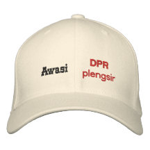 Plengsir de DPR Gorra De Beisbol Bordada
