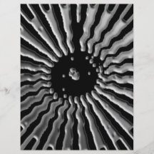 Plexos solares - estrella de plata tarjeton
