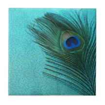 Pluma azul del pavo real de la aguamarina metálica tejas