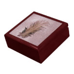Pluma del gorrión cajas de recuerdo