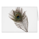 Pluma del pavo real felicitaciones