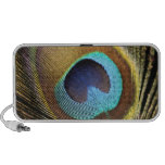 Pluma del pavo real iPod altavoces
