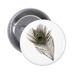 Pluma del pavo real pin