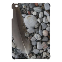 Pluma en algunos guijarros