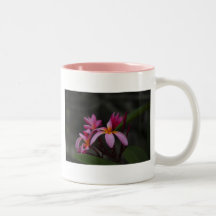 Plumaria hawaiano tazas