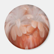 Plumas del flamenco iman de frigorífico