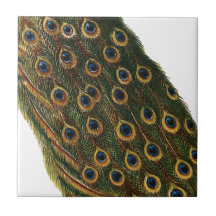 Plumas del pavo real azulejos cerámicos