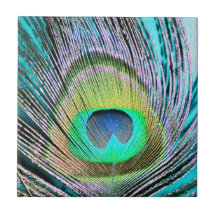 Plumas del pavo real en la turquesa azulejo cerámica