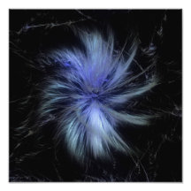 Plumas Impresión Fotográfica