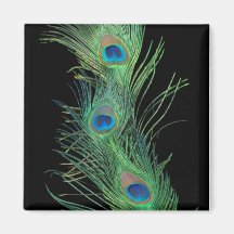 Plumas verdes con negro imanes  