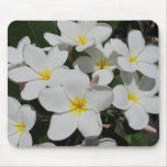Plumeria blanco en Mousepad negro Alfombrilla De Raton