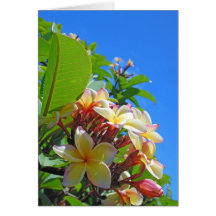 Plumeria hawaiano felicitacion 