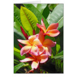 Plumeria hawaiano felicitaciones