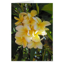 Plumeria hawaiano tarjeta