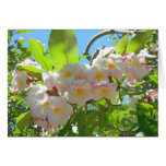 Plumeria hawaiano tarjeton