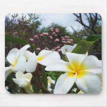 Plumeria Mousepad 2 Tapete De Ratón