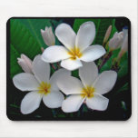 Plumeria Mousepad del claro de luna Tapetes De Ratones
