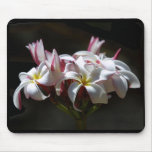 Plumeria Mousepad Tapetes De Raton