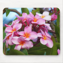 Plumeria rosado de Hawaii Tapete De Raton