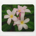 Plumeria rosado de la matanza tapete de ratón