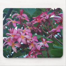 Plumeria rosado Mousepad Tapetes De Ratón