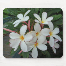 Plumeria Tapete De Ratones