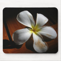 Plumeria Tapete De Ratones