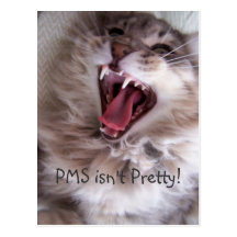 ¡PMS no es bonito! Postal