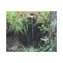 Poca cascada del arbolado lona estirada galerias