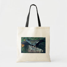 Poca polla de agua bolsa