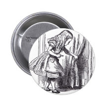 Poca puerta pin