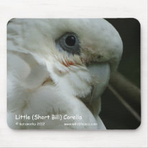 Poco (Bill corto) Corella Alfombrillas De Raton