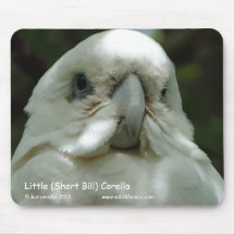 Poco (Bill corto) Corella Alfombrillas De Ratones