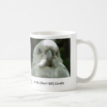 Poco (Bill corto) Corella Taza