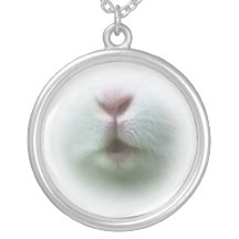 Poco collar blanco de la nariz del conejito