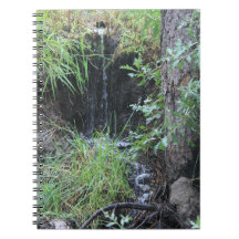 Poco cuaderno de la cascada del arbolado