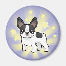 Poco dogo francés de la estrella imán