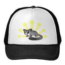 Poco planeador del azúcar de la estrella gorras