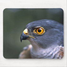 Poco Sparrowhawk Alfombrilla De Ratón