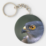 Poco Sparrowhawk Llaveros Personalizados