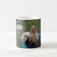 pocos gatos del infierno tazas de café