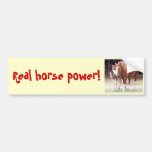 ¡Poder de caballo real! Pegatina para el parachoqu Pegatina De Parachoque