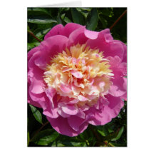 ¡Poder del Peony! Tarjetas