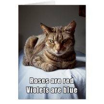 Poema divertido del gato de la tarjeta del día de 