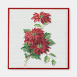 Poinsettia del navidad imán para frigorífico